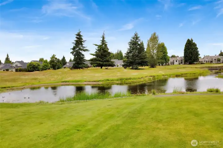 This pondside retreat offers peace, light, and a connection to nature that's increasingly hard to find. This pondside retreat offers peace, light, and a connection to nature that's increasingly hard to find.