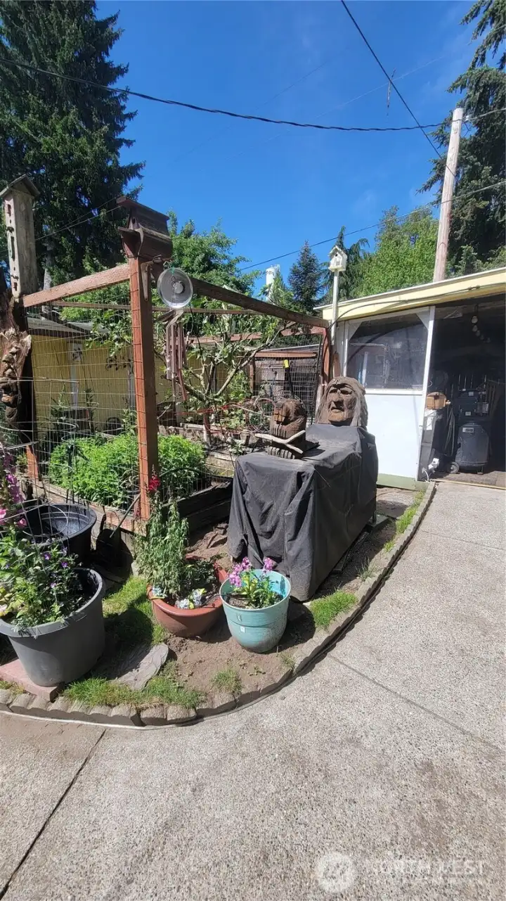 garden garden