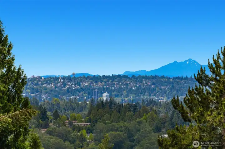 View from living room deck