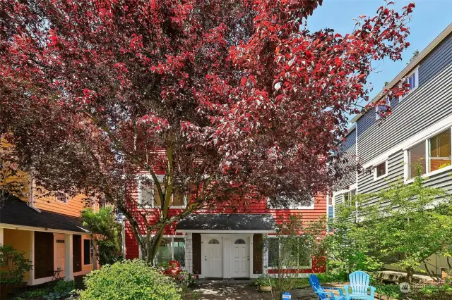 Beautiful communal courtyard.