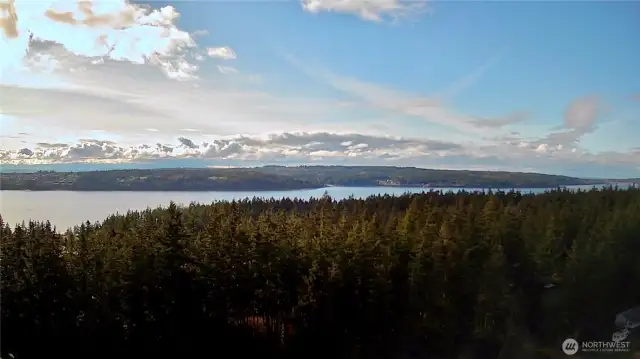 Surrounded by the beauty of Whidbey Island!