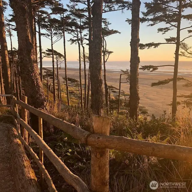 The beach is nearby and really the gem of the Washington Coast!