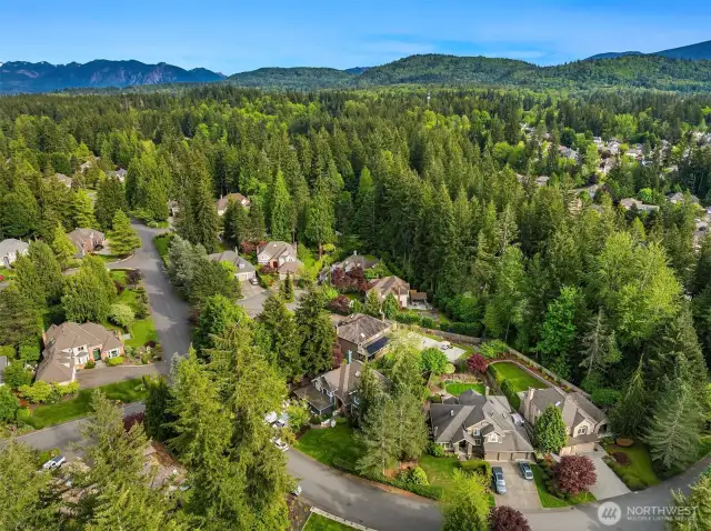 Enjoy the luxury of a meticulously maintained neighborhood paired with a generous lot that offers exceptional privacy and space to unwind.