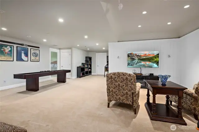 Home theater area, plus room for anything else you can imagine.