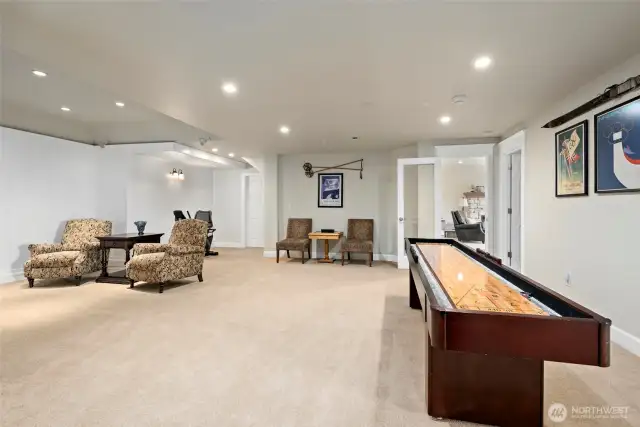 Finished rec room space ready for your ideas.