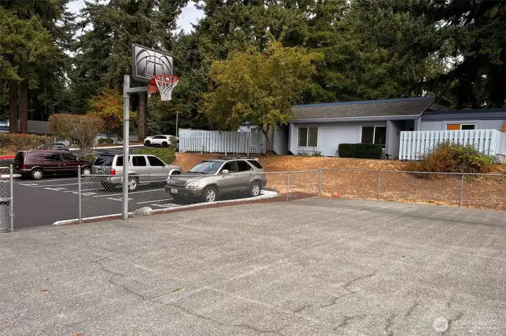 sport court and treed common areas