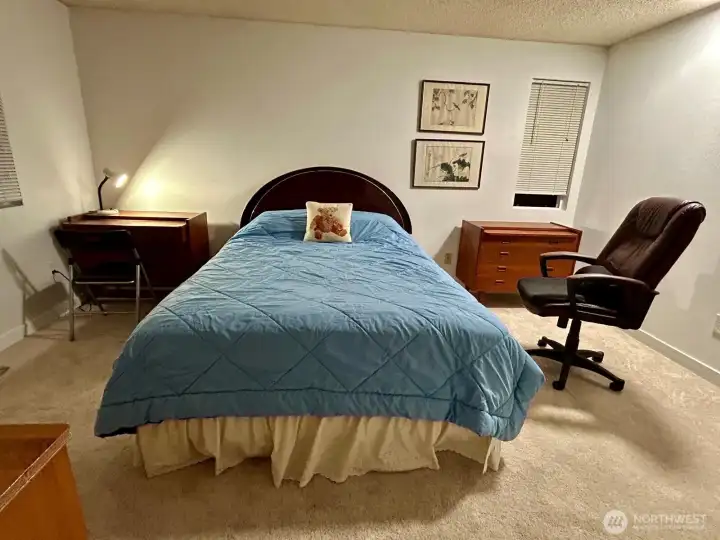 Primary bedroom with new carpet