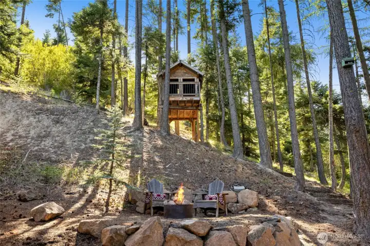 Treehouse and firepit.