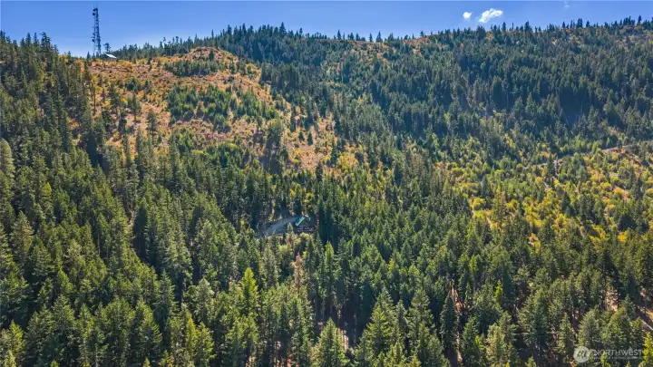 One of the largest lots in the community.