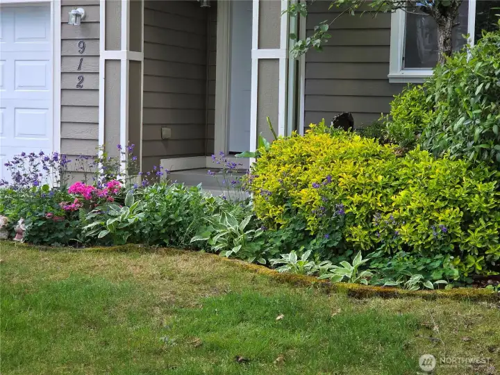 Beautiful Landscaping