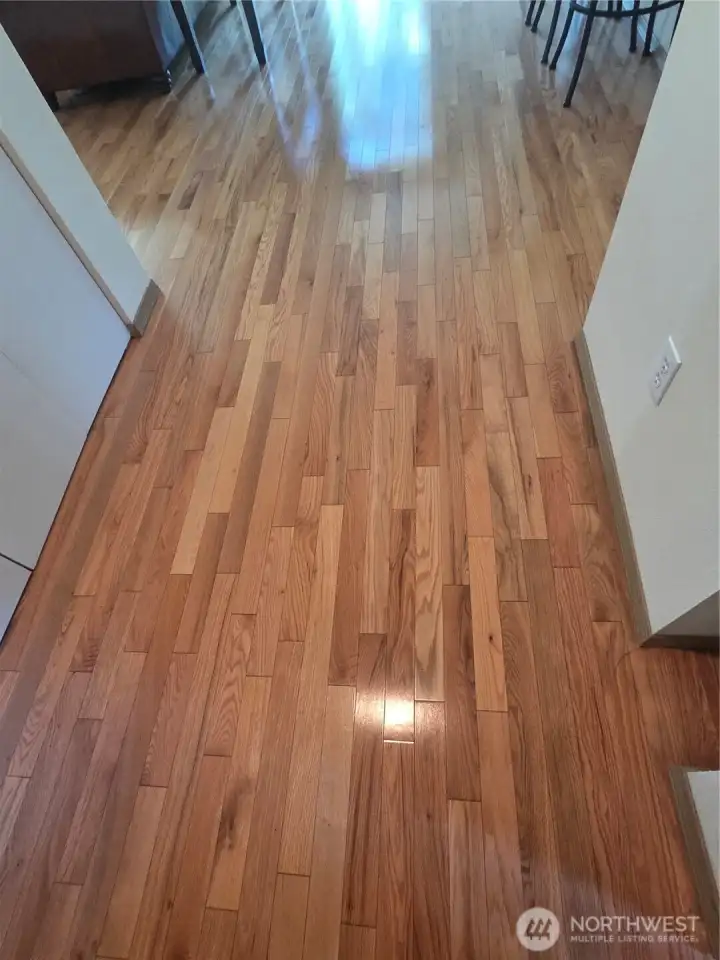 Gorgeous Hardwood floors on the entire lower floor.