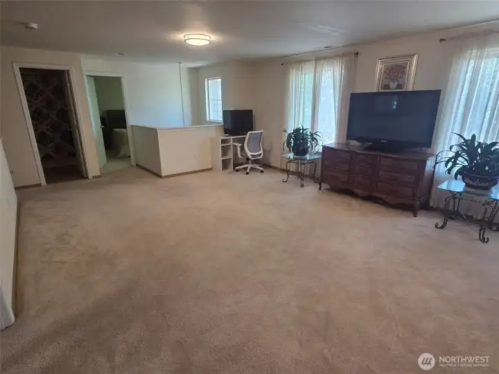 Very Large Family Room