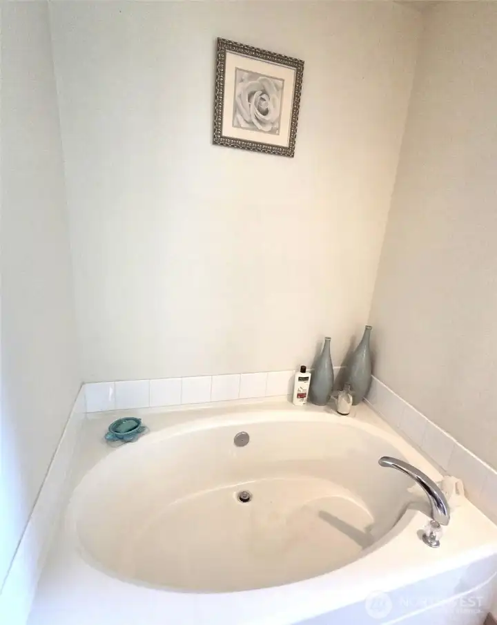 Primary Bath Soaking Tub