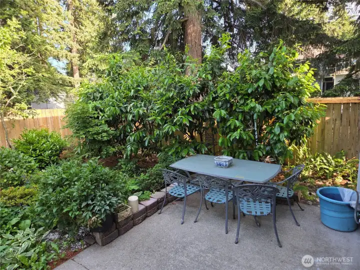 Wonderful private back patio