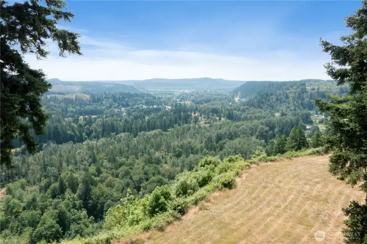 Aerial view of Orting Valley.