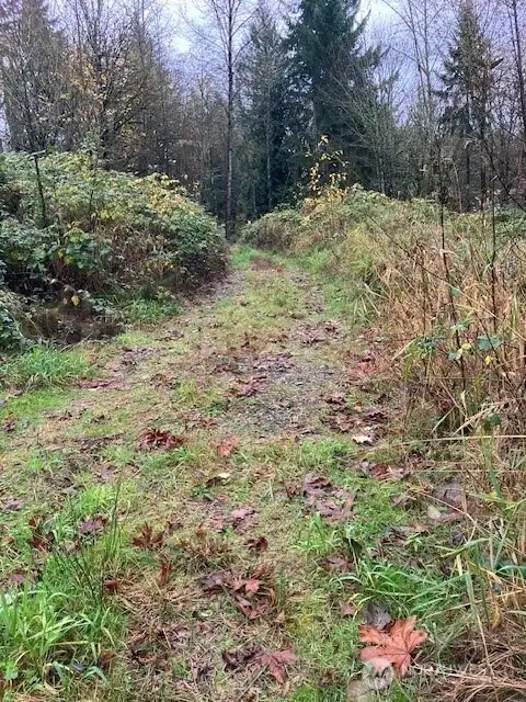 looking the other direction