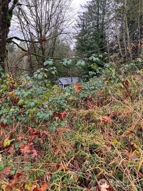 neighbor in the distance