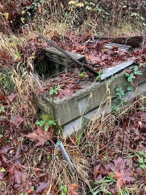 unknown feature (maybe electricity?)