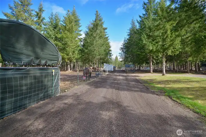 Drive leading to home site.