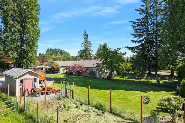 ~Garden Space in corner of backyard~