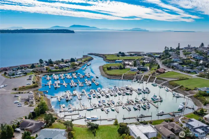 Marina