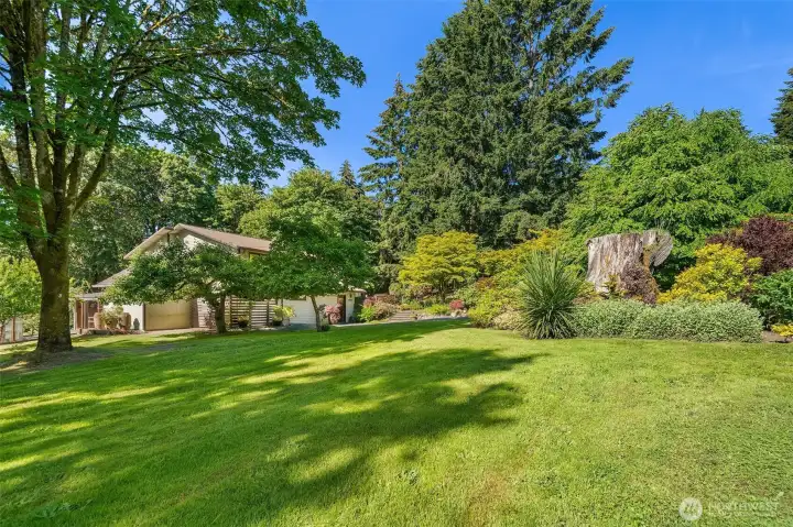 The mature landscape has been lovingly maintained and added to over the years.