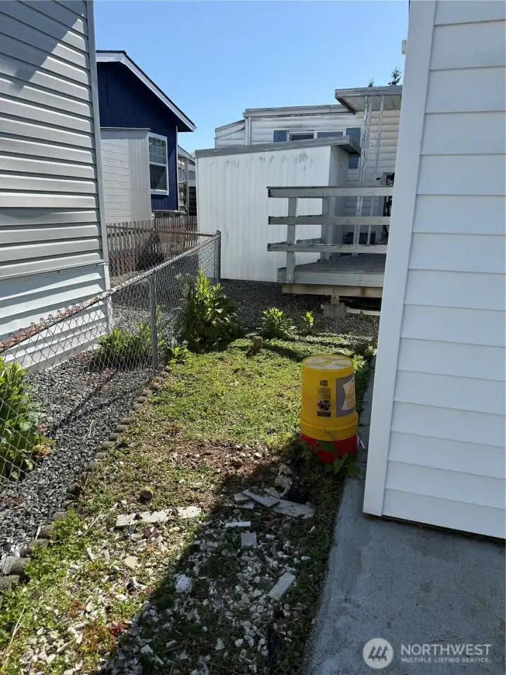 Back yard