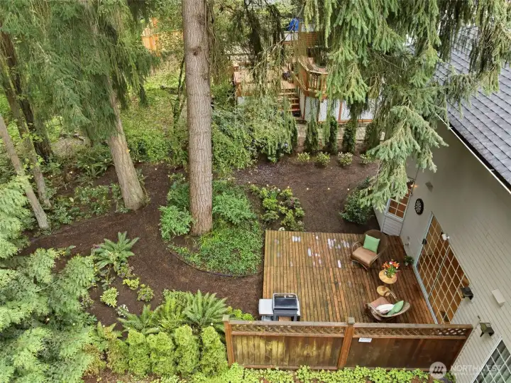 Beautifully landscaped back yard