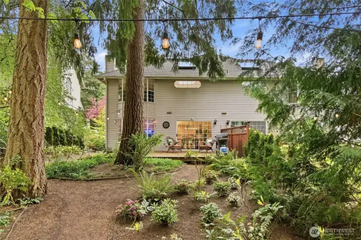 andscaped back yard