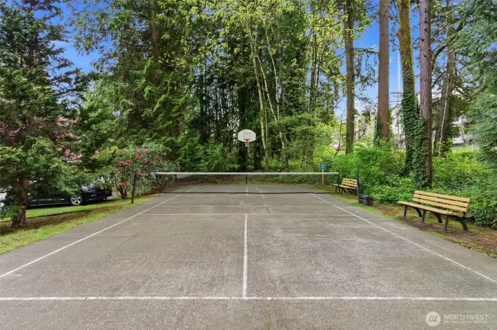 Sport Court at The Pointe