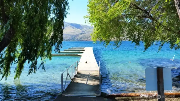 Just look at that crystal clear Lake Chelan water!  Even the duck is mesmerized by it!