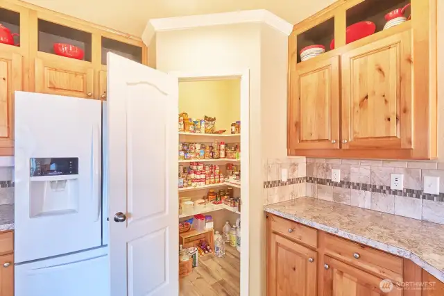 Walk-in pantry in kitchen keeps your dry goods organized