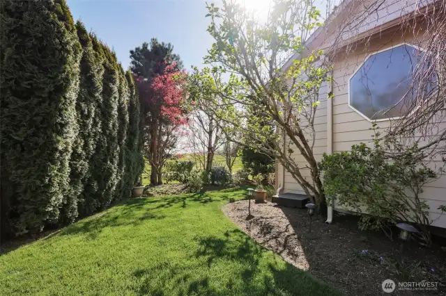 Sideyard