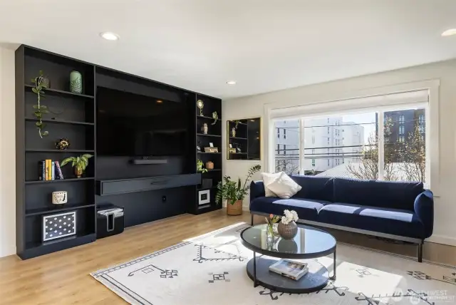 Built in entertainment system