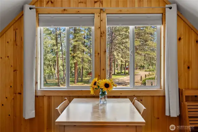 Beauty out every window!