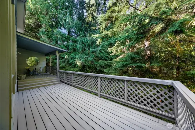 Set above the forest floor, this wraparound deck offers unmatched seclusion and a natural backdrop that changes with the seasons.