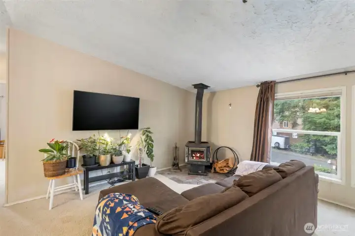 Living room with wood stove