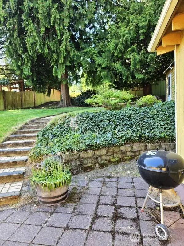 Backyard patio