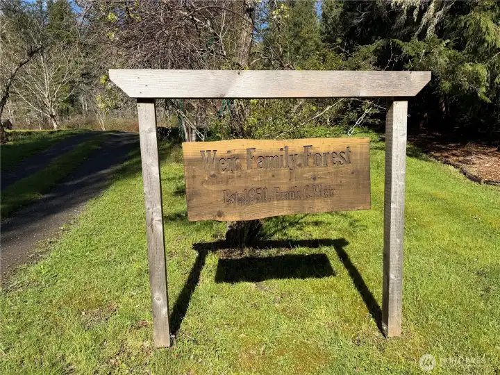 This tree farm has been in loving care since the 1960's