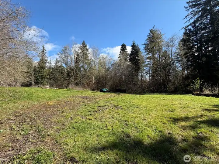 What would you do with this level area?