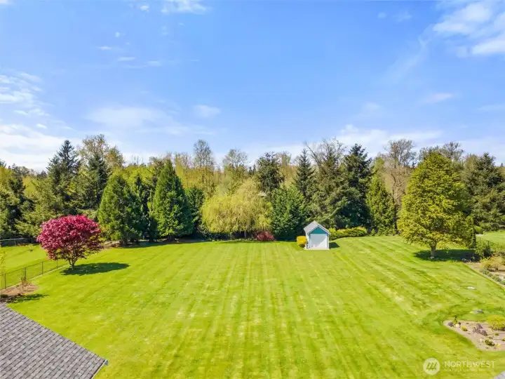 The Backyard Facing the Green Belt and The Outbuilding