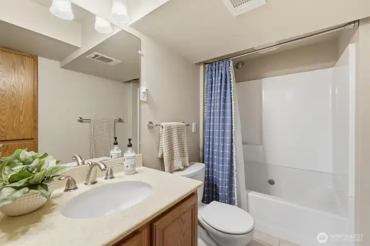 Lower level full bath