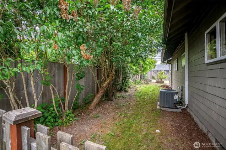 North side of the home hosts lilac trees, roses, and your newer heat pump