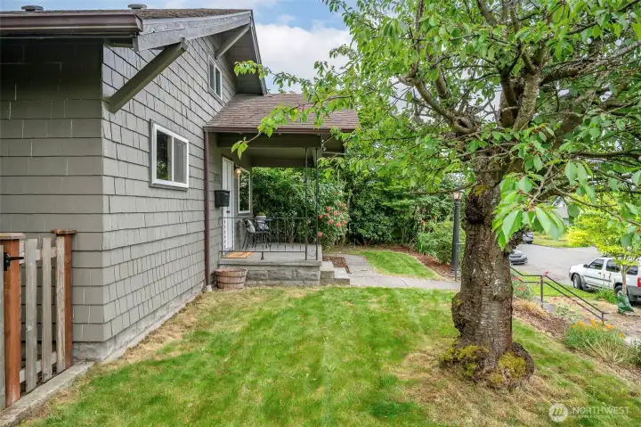 Easy maintenance front yard