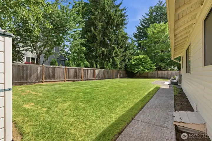 Another view of the back yard