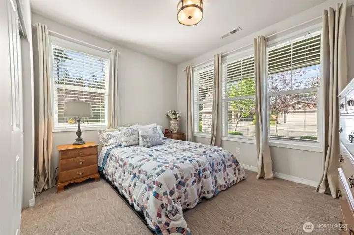 guest bedroom with more oversized windows