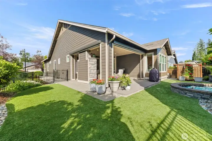 permium back yard turf