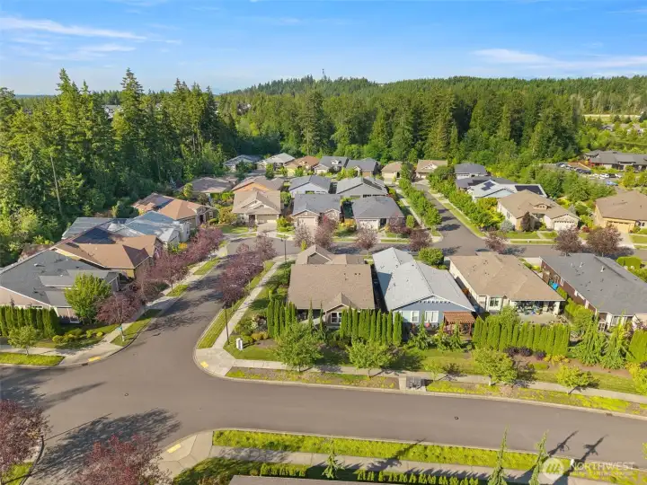 corner lot and great community in phase 1 of Trilogy!