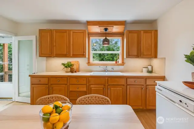 Main floor kitchen showing exterior side door