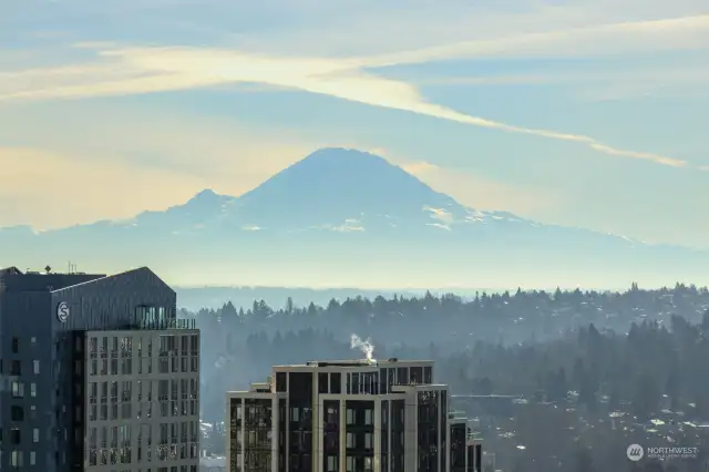 Experience breathtaking views of Mount Rainier from every room in your home—nature's masterpiece, always on display!